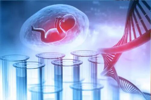 呼和浩特怀孕几个月如何做胎儿亲子鉴定,呼和浩特办理无创怀孕亲子鉴定大概收费 呼和浩特怀孕几个月如何做胎儿亲子鉴定,呼和浩特办理无创怀孕亲子鉴定大概收费
