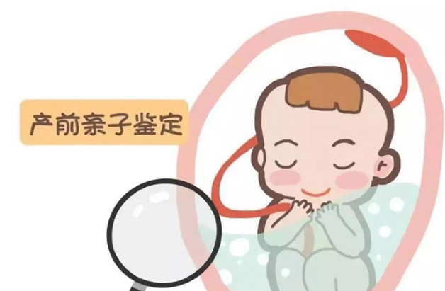 呼和浩特怀孕亲子鉴定要怎么办理,呼和浩特产前亲子鉴定结果准吗