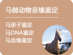 呼和浩特马做动物亲缘鉴定