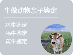 呼和浩特牛做动物亲子鉴定