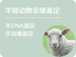 呼和浩特羊做动物亲缘鉴定