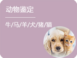 呼和浩特动物鉴定